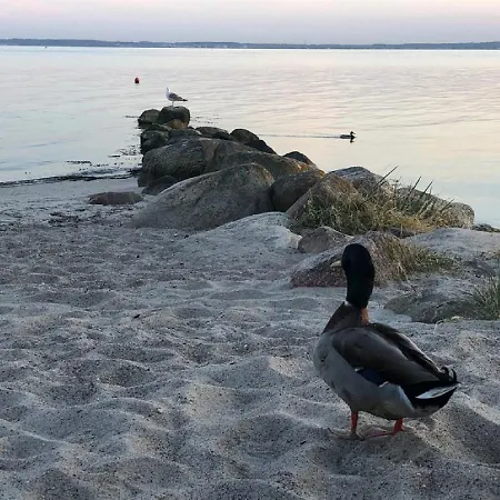 Ostseecamp Lübecker Bucht Seeigel Ferienhaus Scharbeutz