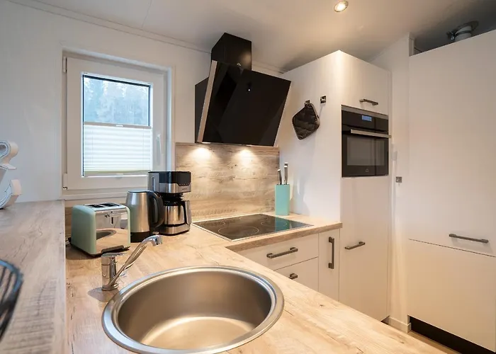 Ostseecamp Luebecker Bucht Seeigel *